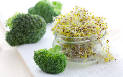 Meer Broccoli, minder kans op kanker?